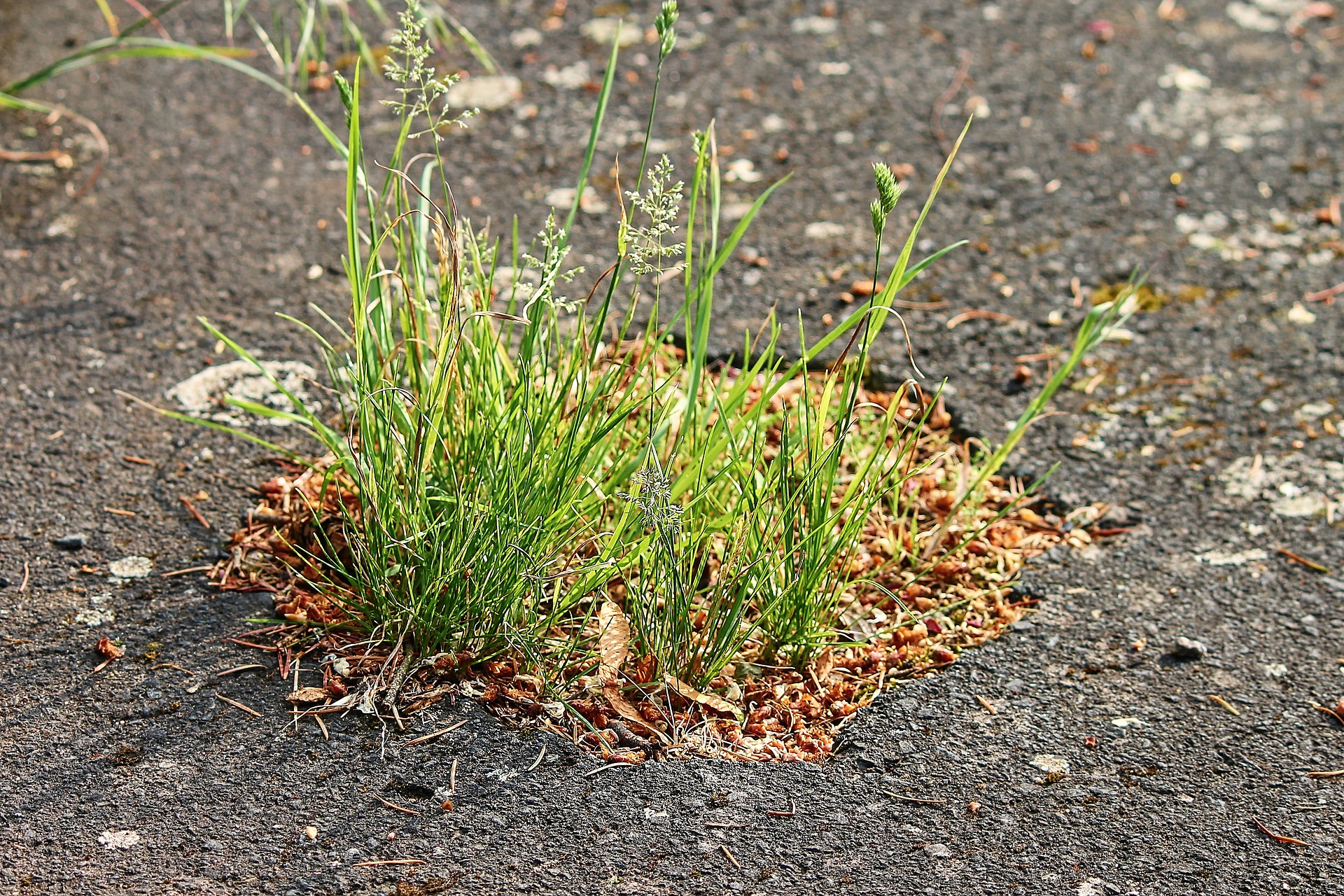 You are currently viewing Potholes